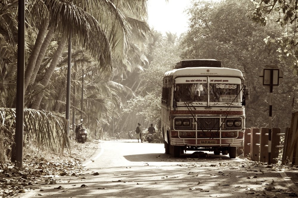 Photograph by cartoon62