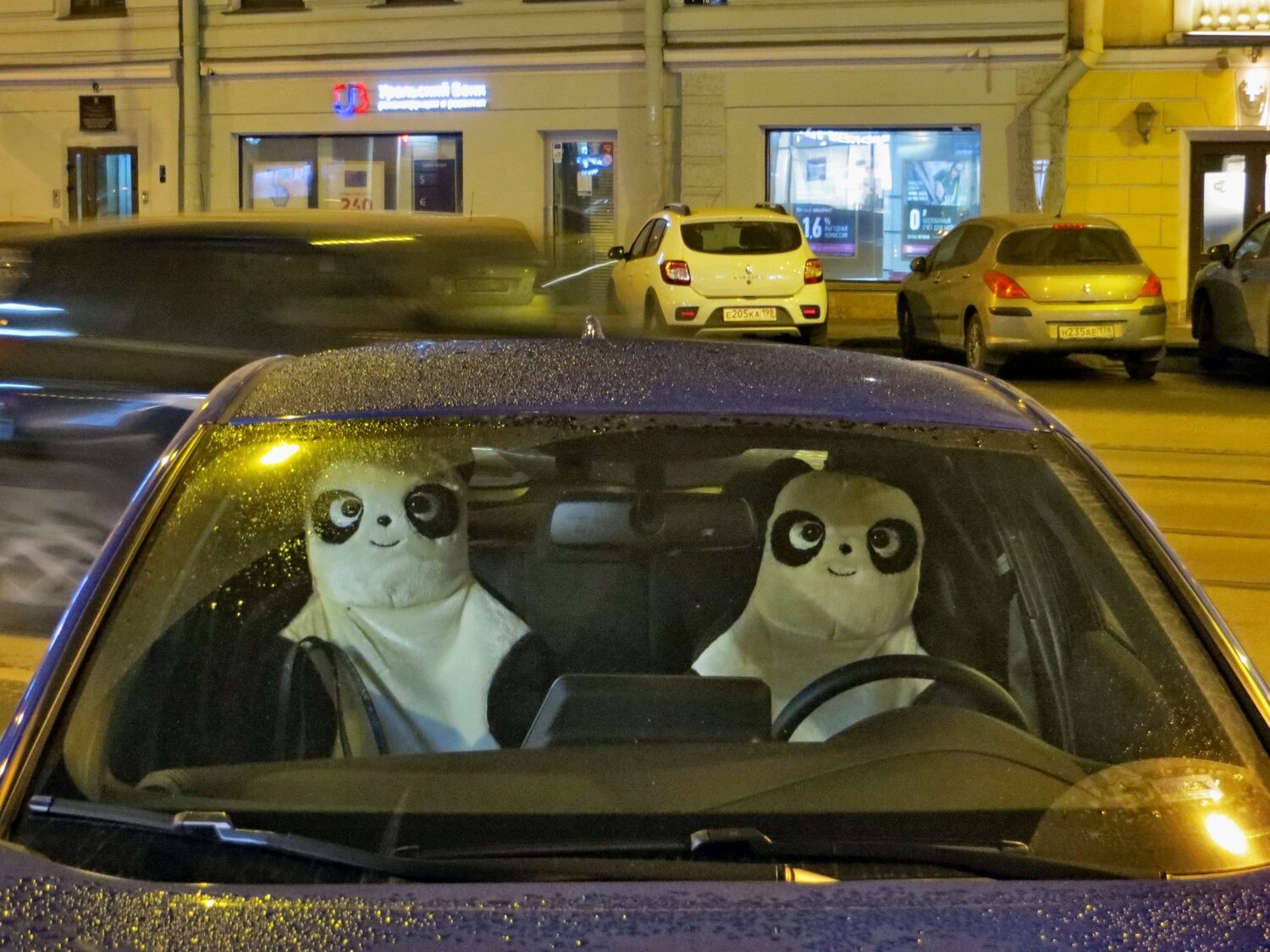 Photo #4062775