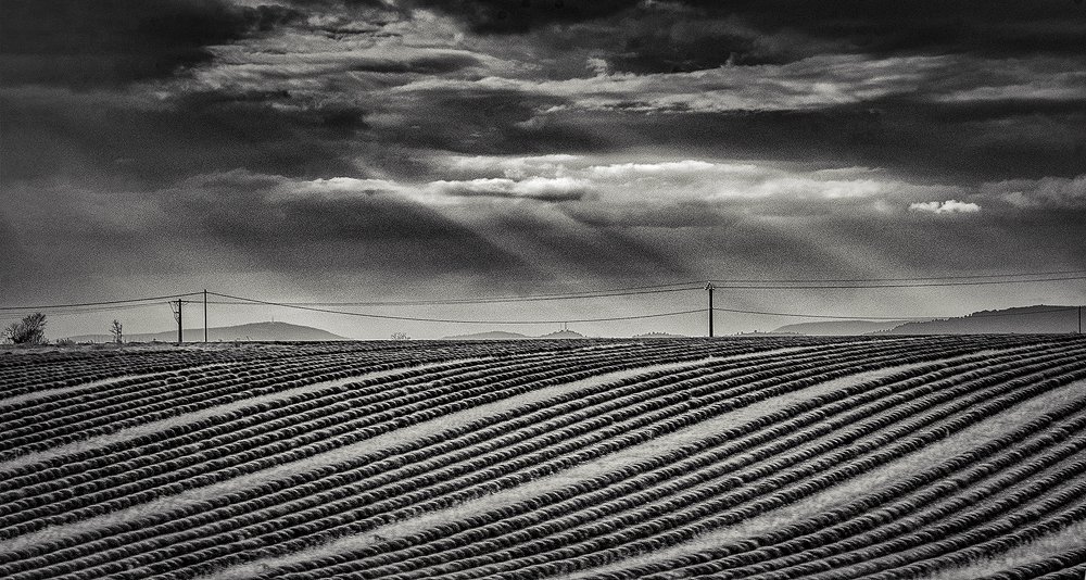 Photograph by Vlada Nesterova