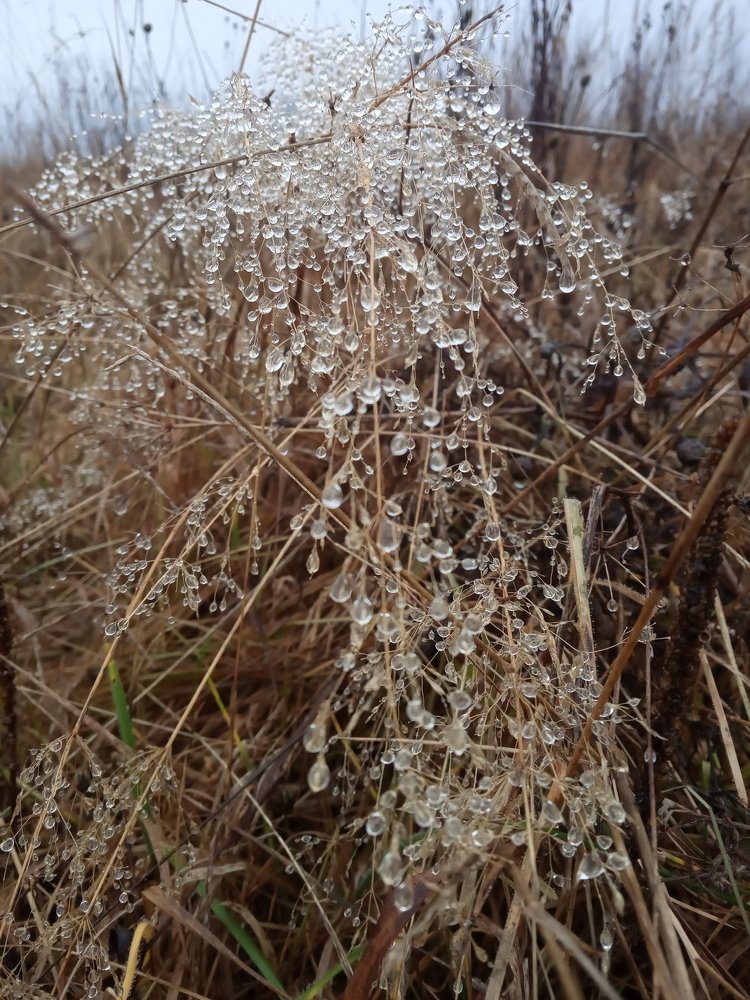 Photograph by Любовь Шаврина