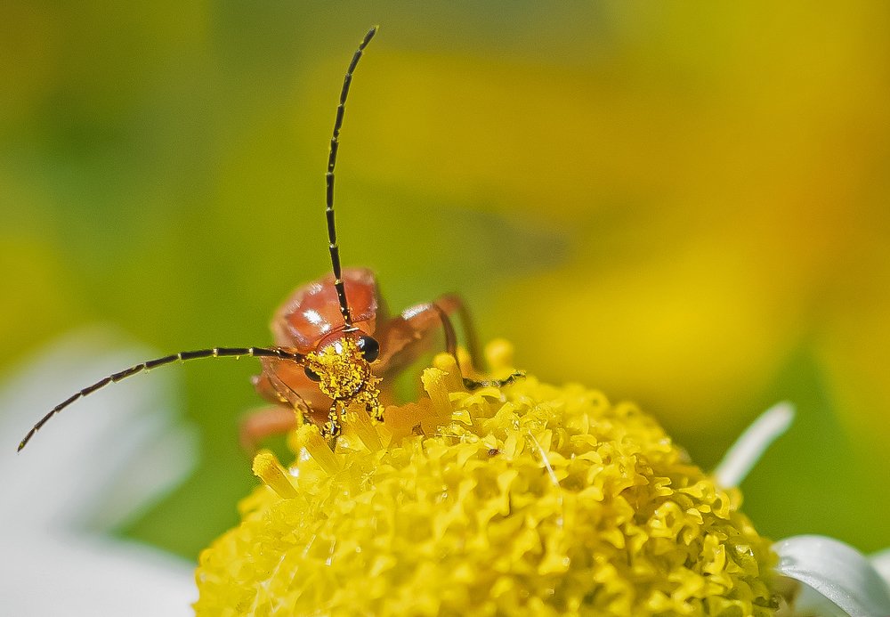 Photograph by Vlada Nesterova