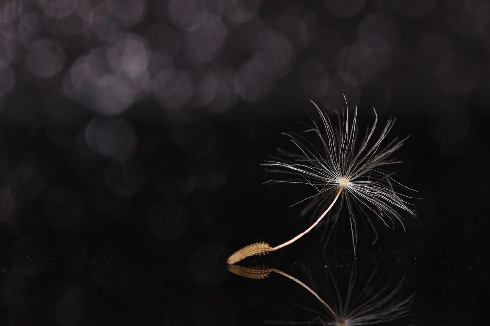 Photograph by Мадина Дзарасова