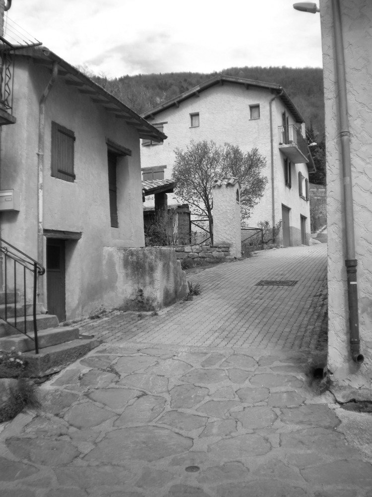 Photograph by 