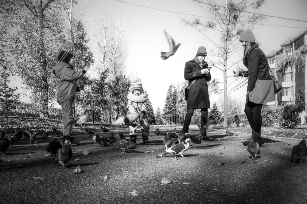 Photograph by Арсений Чекмарёв