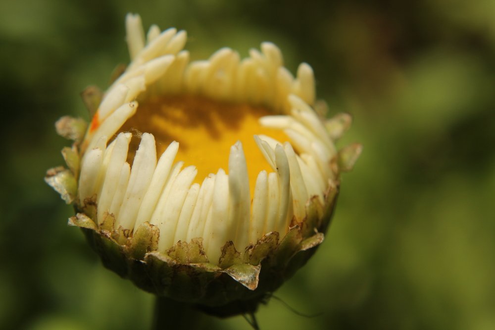 Photograph by Мадина Дзарасова