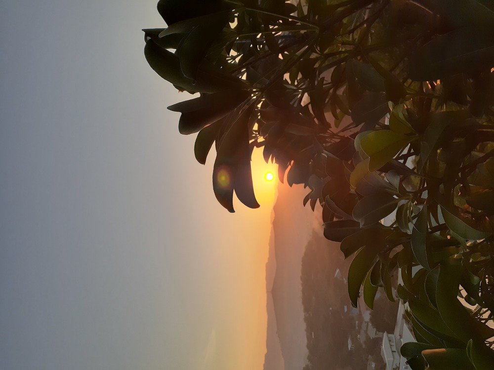 Photo #4063028