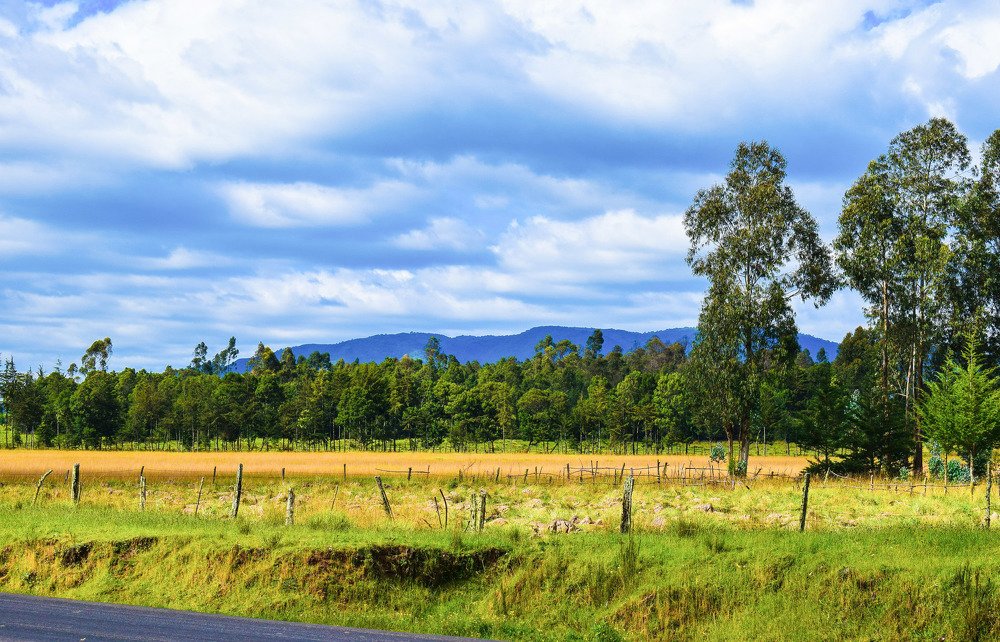 The Aberdare Ranges