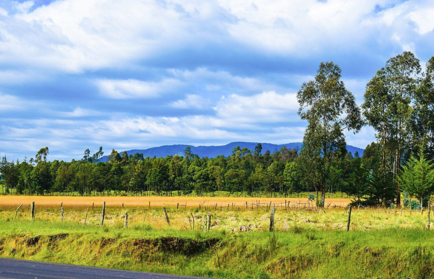 The Aberdare Ranges
