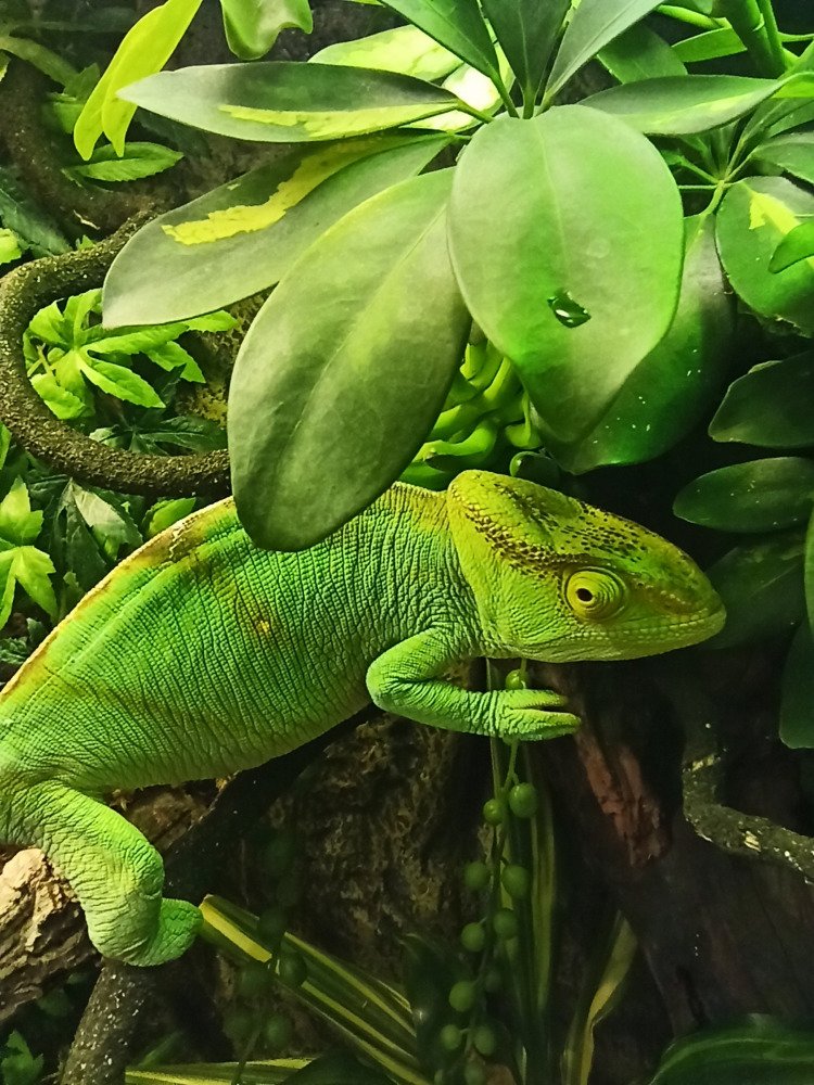 Photograph by Сергей Лобозов