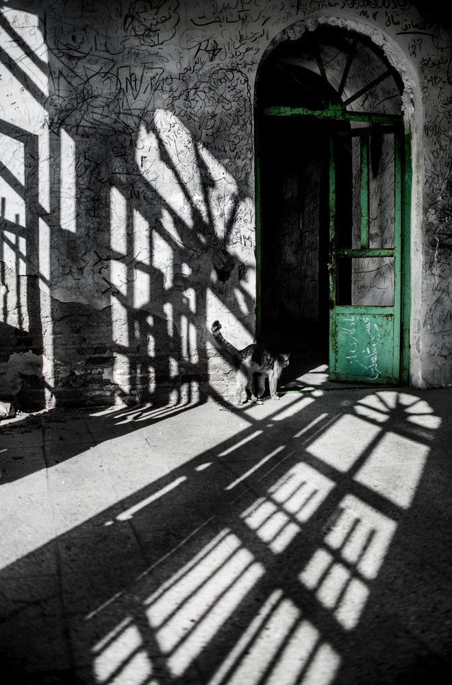 Photograph by DAMOUN POURNEMATI