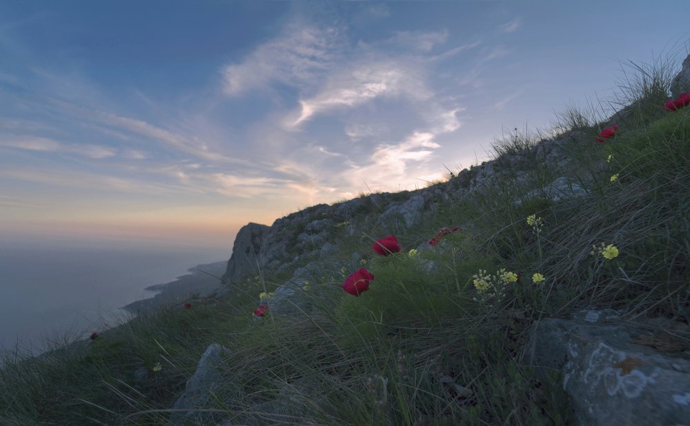 Photograph by Евгения Буш