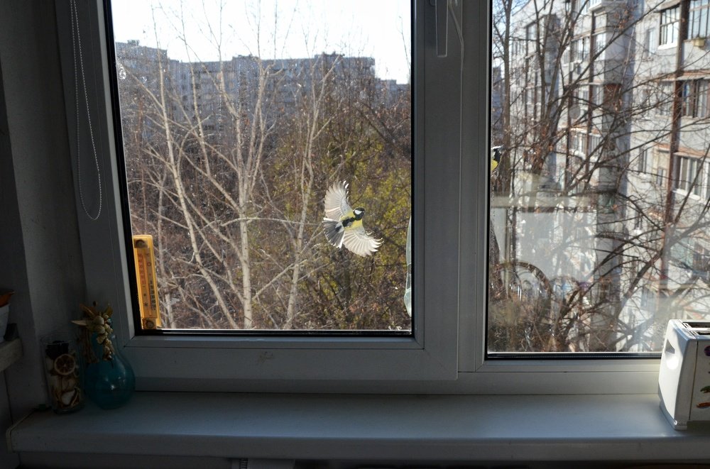 Photograph by Ирина Никитина