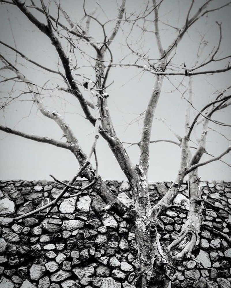 Photograph by Александр Знак-Мазуркевич