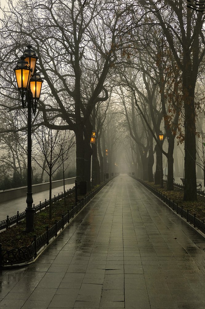 Photograph by Наталия Звиададзе