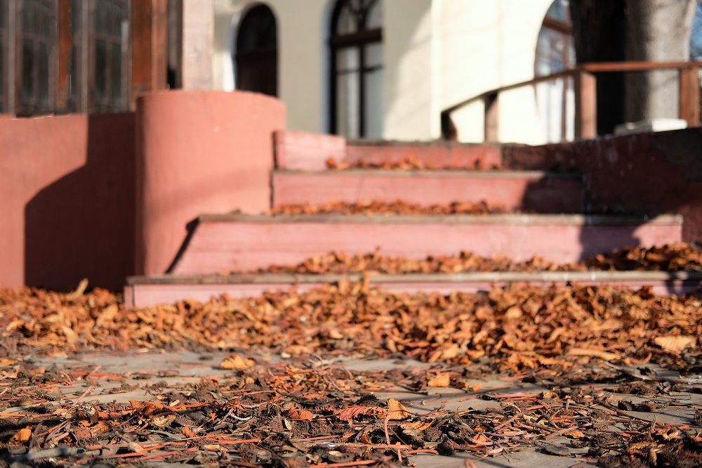 Photograph by Наталия Звиададзе