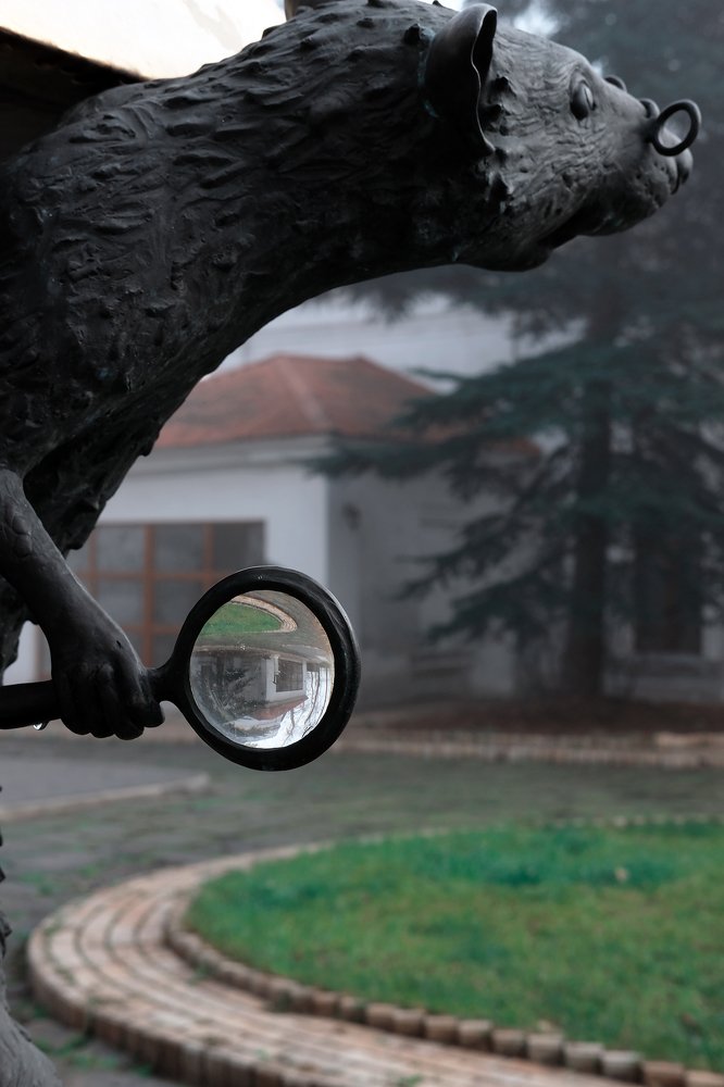 Photograph by Наталия Звиададзе