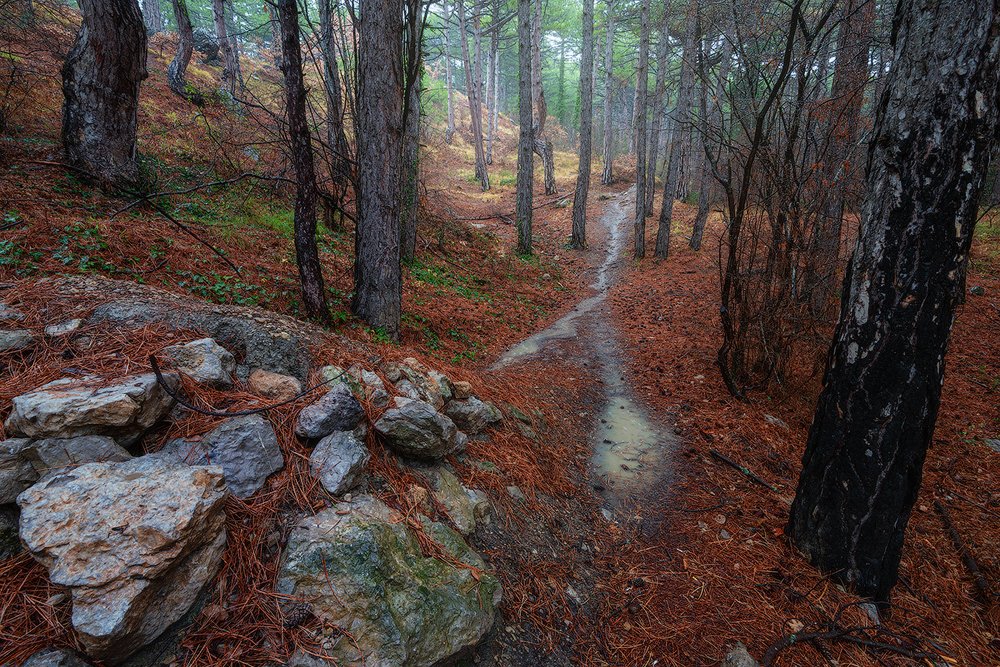 Photograph by Наташа Фирсова