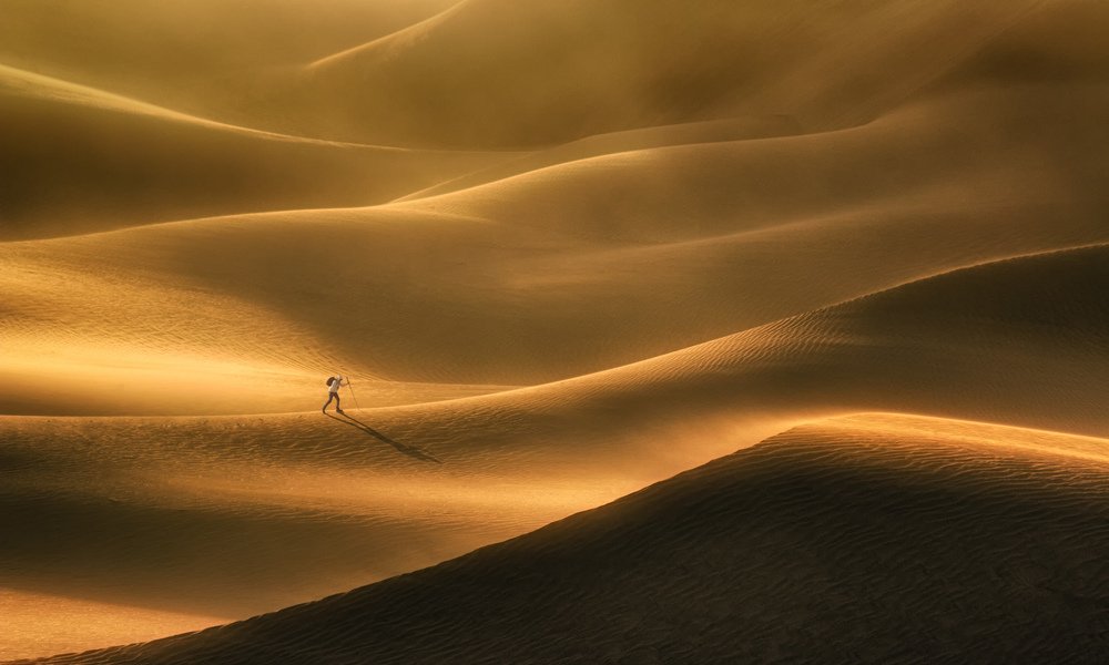 Photograph by babak mehrafshar