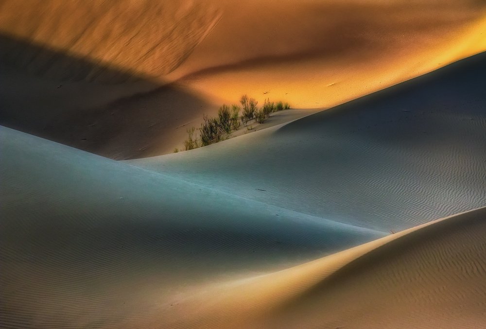 Photograph by babak mehrafshar