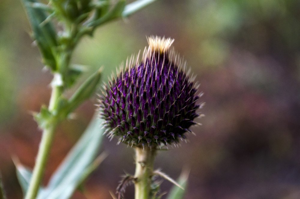 Photograph by Дмитрий