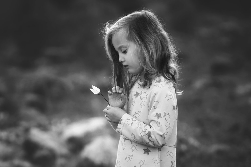 Фотография автора Сергей Гринис