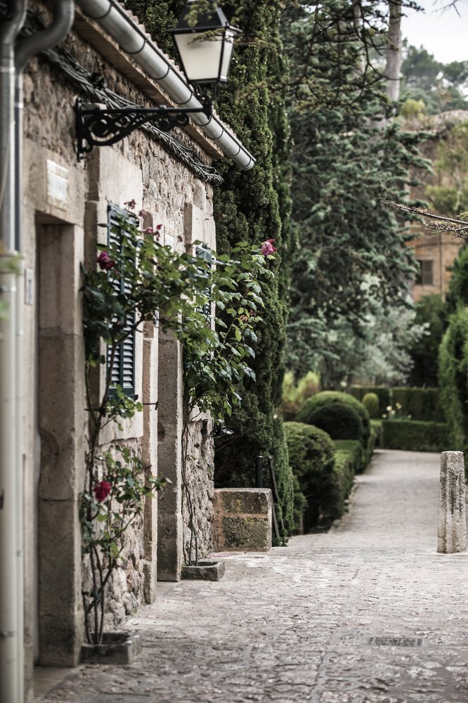 Photograph by Анастасия Ломаева