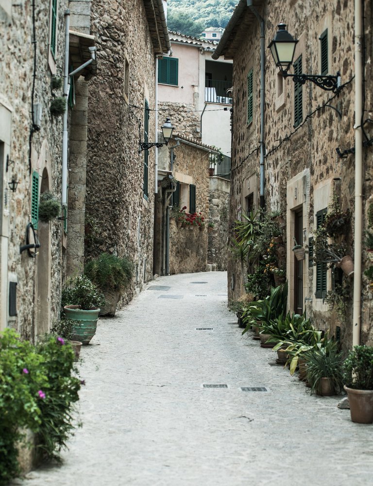 Photograph by Анастасия Ломаева