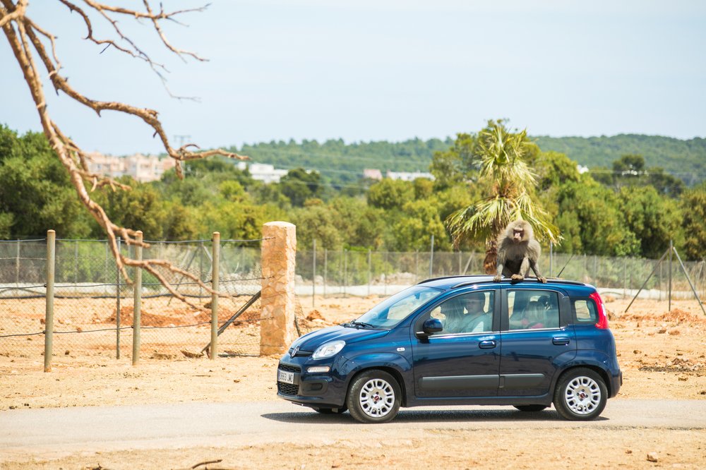 Photograph by Анастасия Ломаева