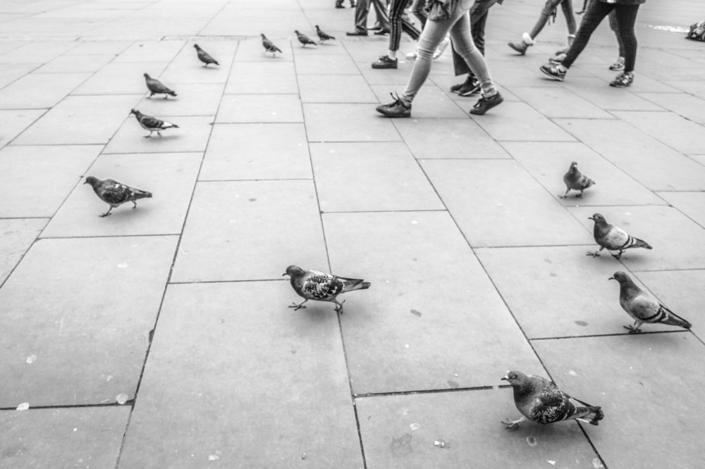 Photograph by DOUGLAS PINGITURO