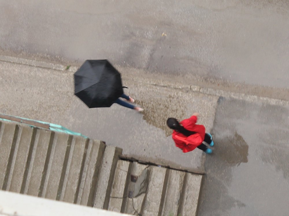 Photograph by Александр Велигура