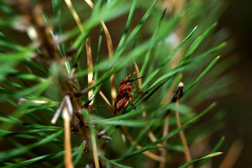 Photograph by Татьяна Мирохина