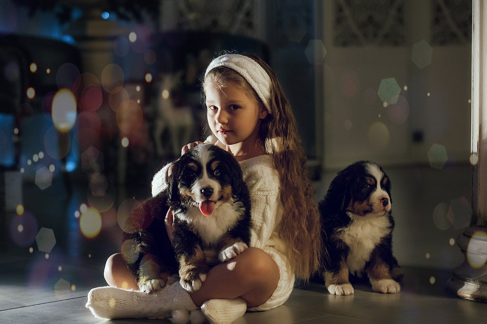 Photograph by Анастасия Парфенова