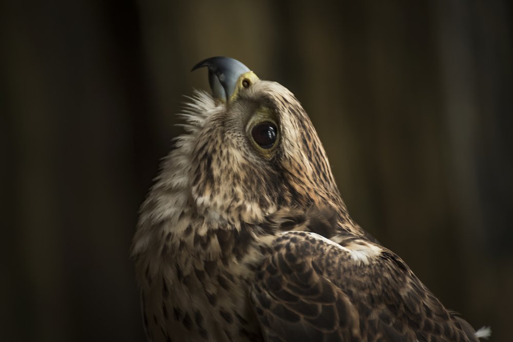 Photograph by Ela Opatowiecka