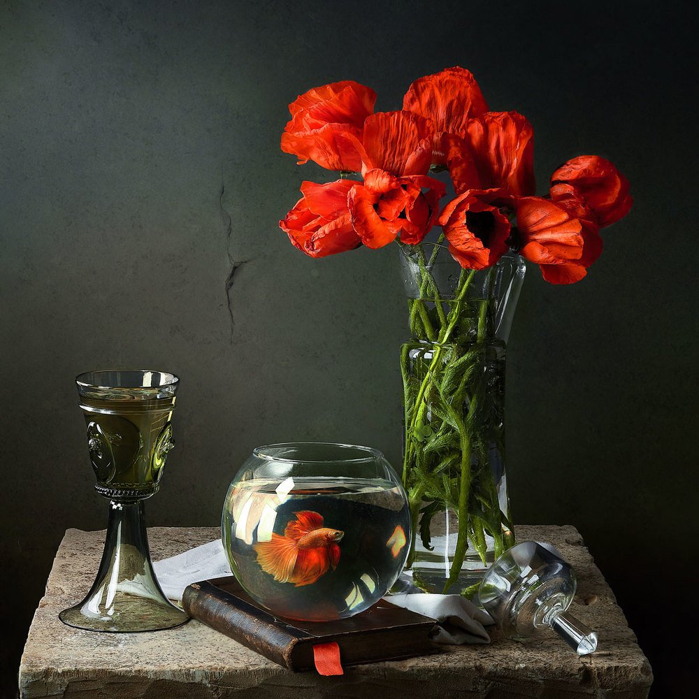 Photograph by Виктор Бриг