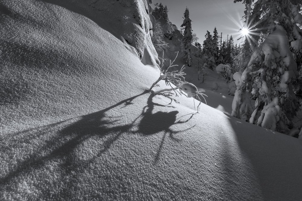 Photograph by Николай Обухов