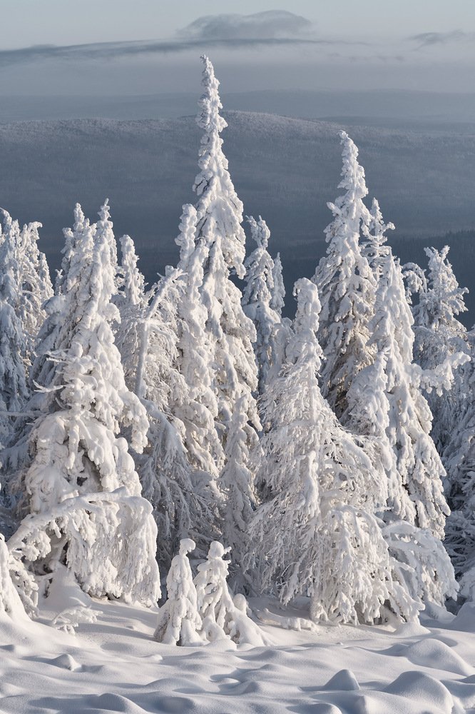 Photograph by Николай Обухов