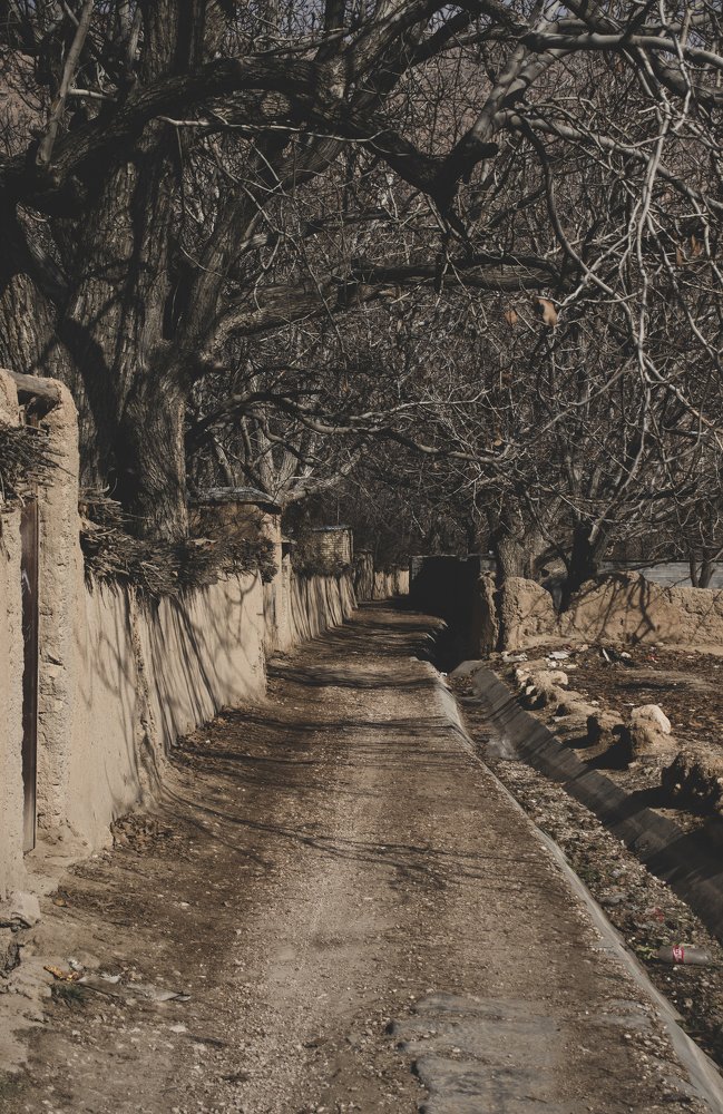 Photograph by iman hafezkhan