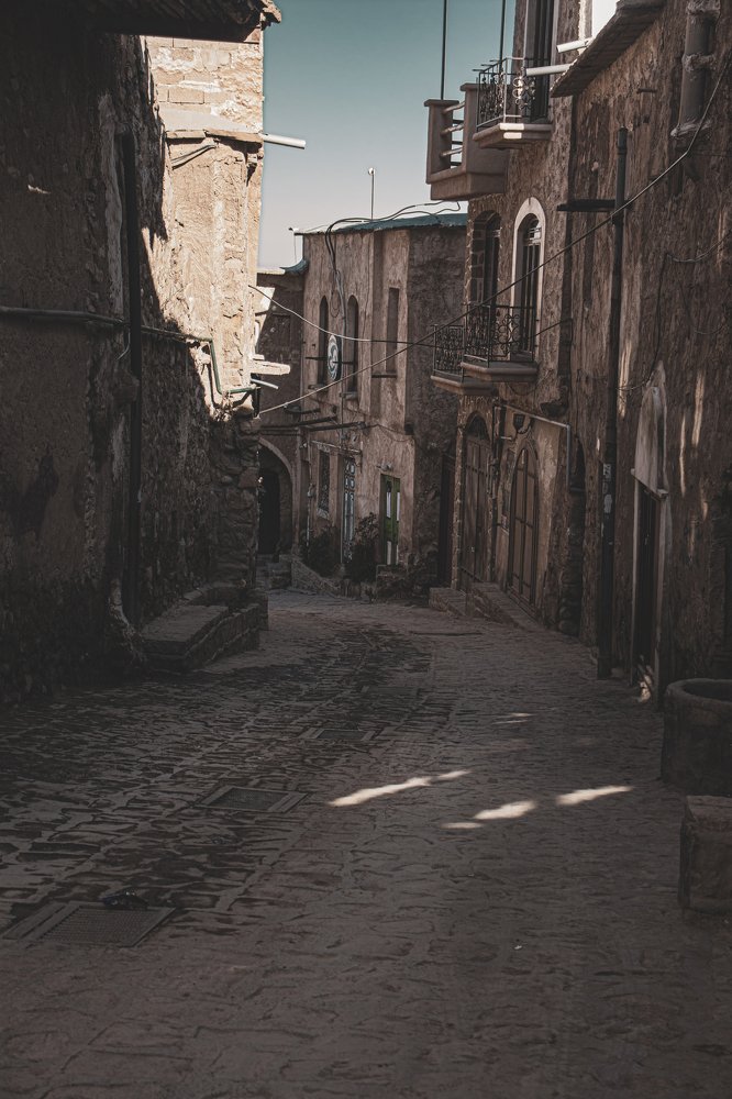 Photograph by iman hafezkhan