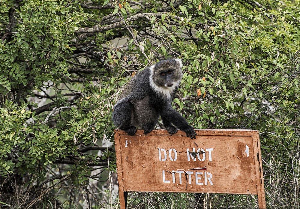 Photograph by pradeep mohanty