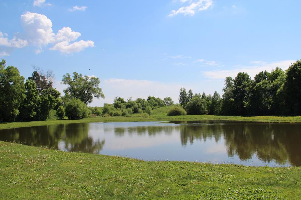 Пруд в Тарханах.