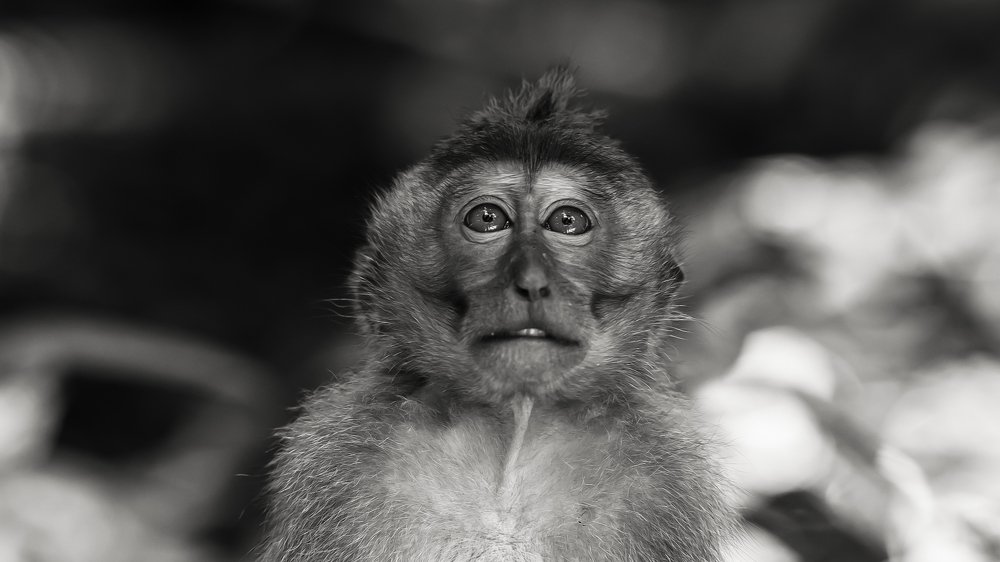 Photograph by Гребенников Сергей