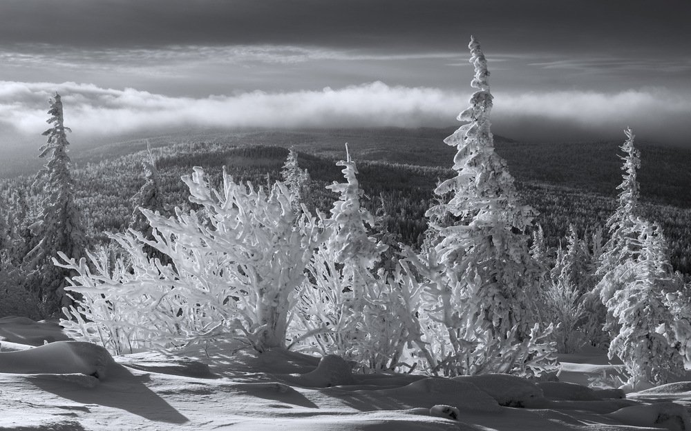 Photograph by Николай Обухов