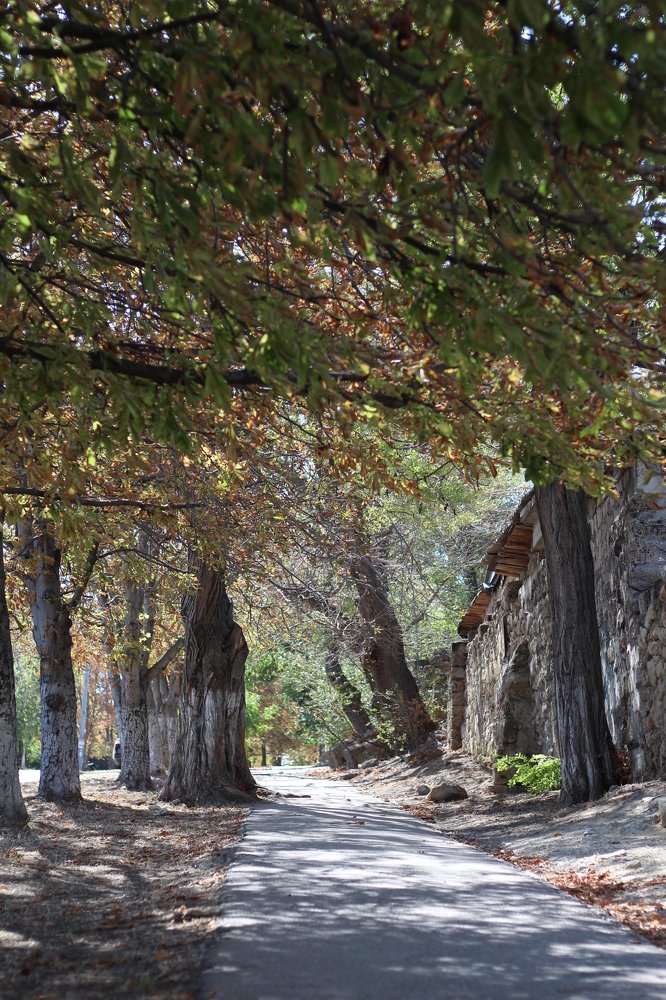 Photograph by Алина Игошева