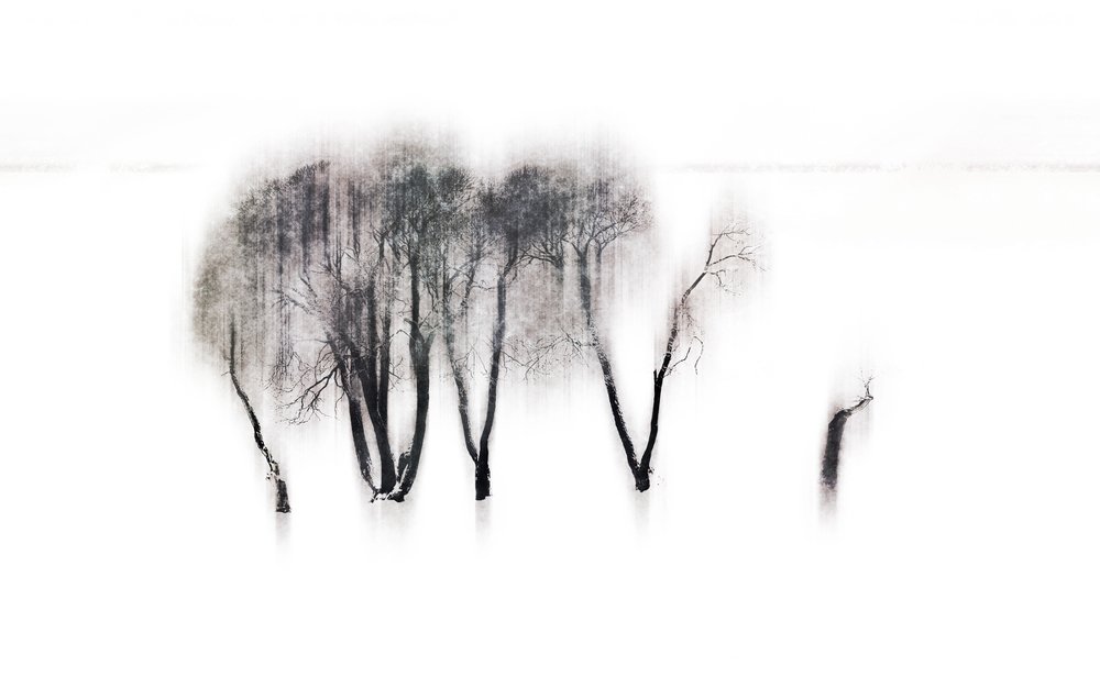 Photograph by Alexander Svetlov