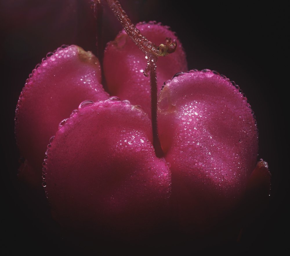 Photograph by Alexander Svetlov