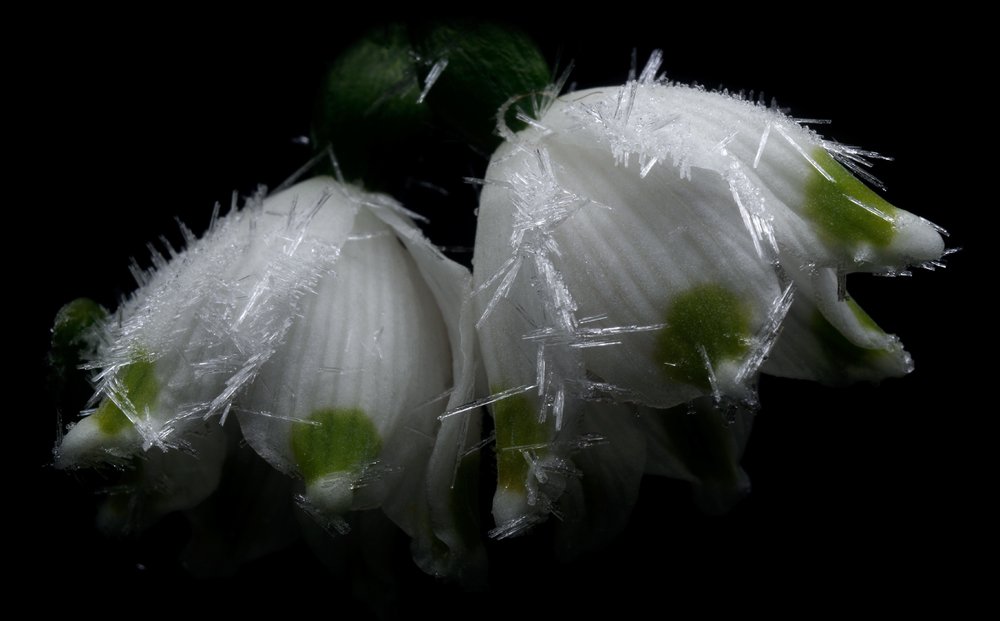 Photograph by Alexander Svetlov