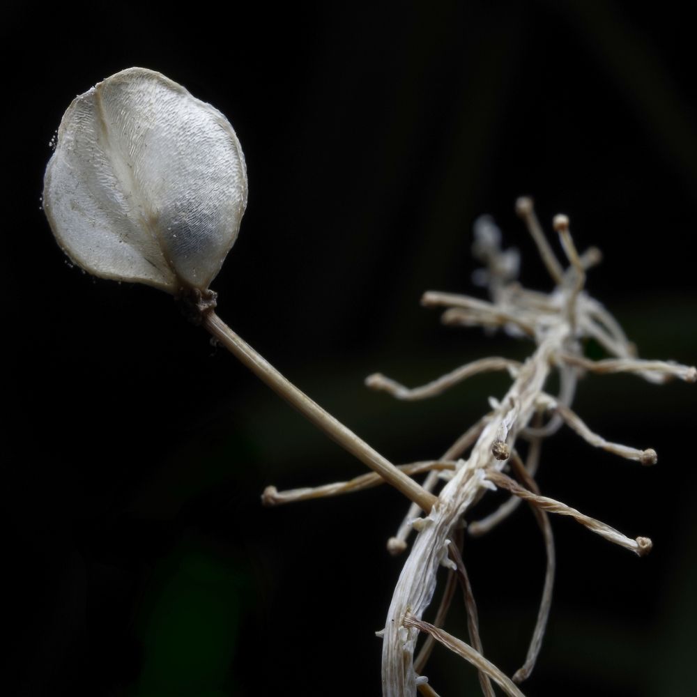 Photograph by Alexander Svetlov