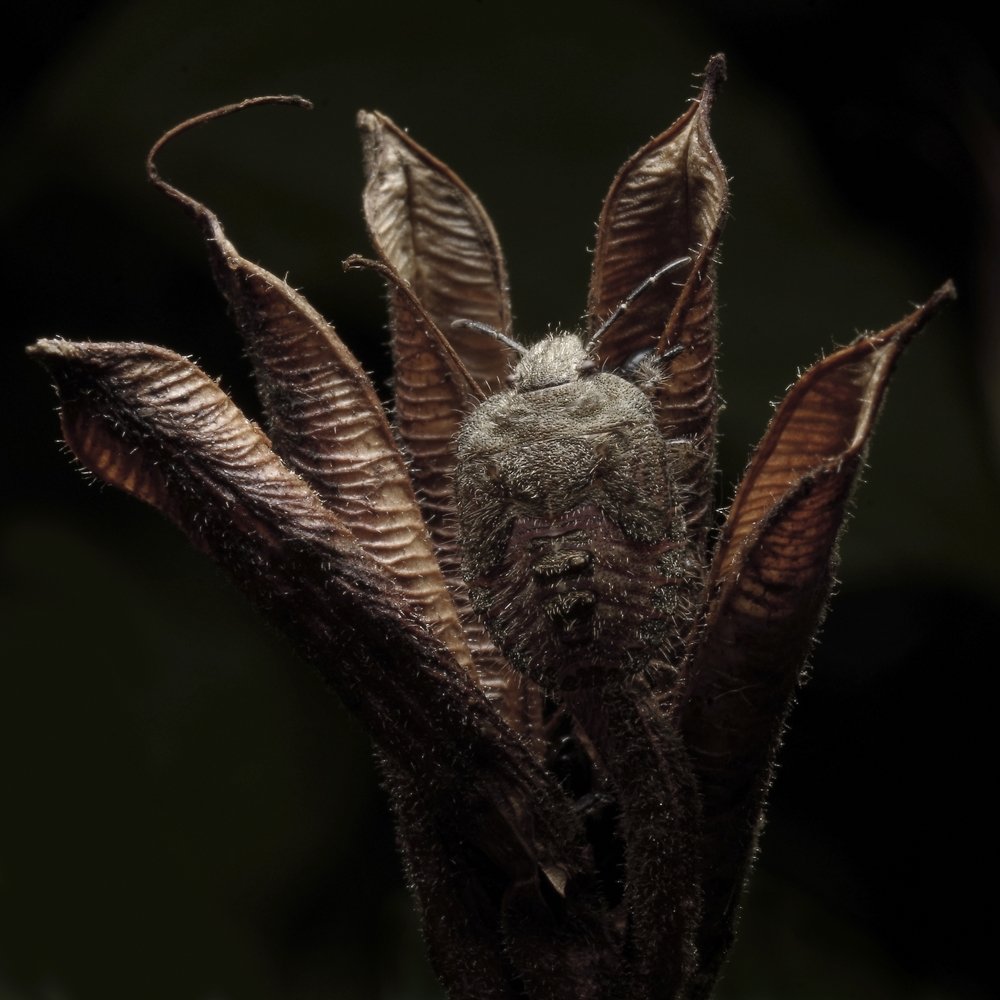 Photograph by Alexander Svetlov