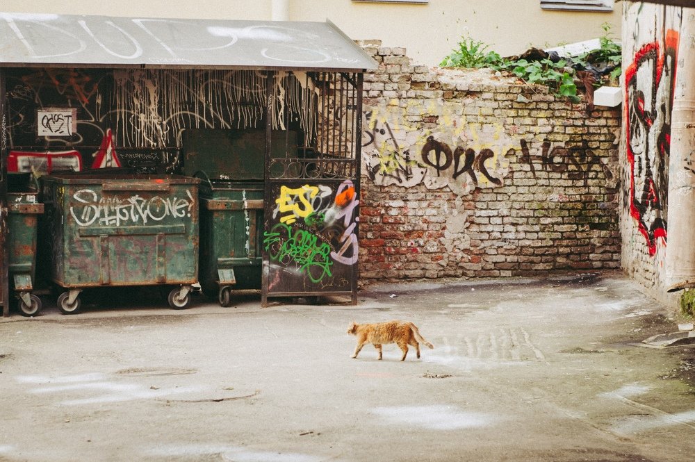 Photograph by Сафронова Любовь