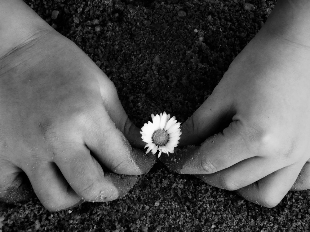 Photograph by Dan Ciupureanu